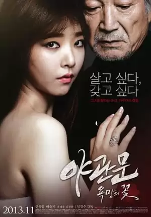 Bông Hoa Ước Vọng | Door To The Night (2013)