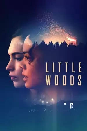 Lằn Ranh Số Phận | Little Woods (2019)